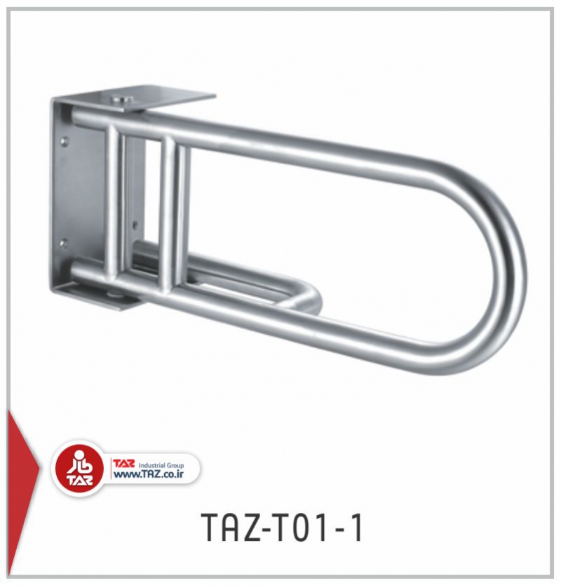 TAZ T01 1