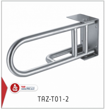 TAZ T01 2